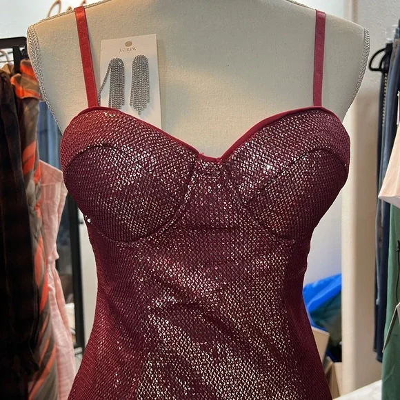 NWT bundle bodycon dress and earrings - Picture 5 of 6